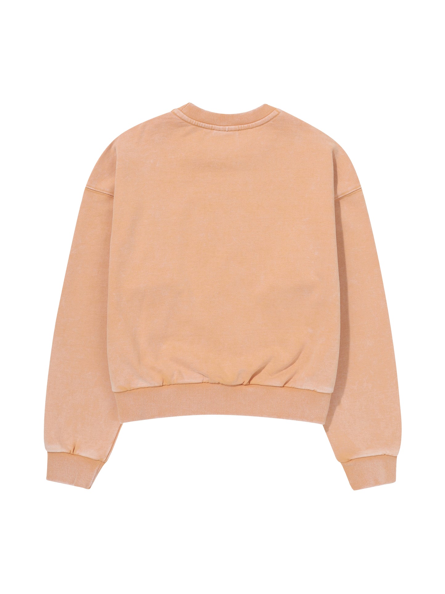 W Vintage Washed Crop Sweatshi