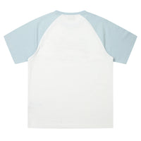 Vintage Logo Raglan T-Shirt - Grey/Blue