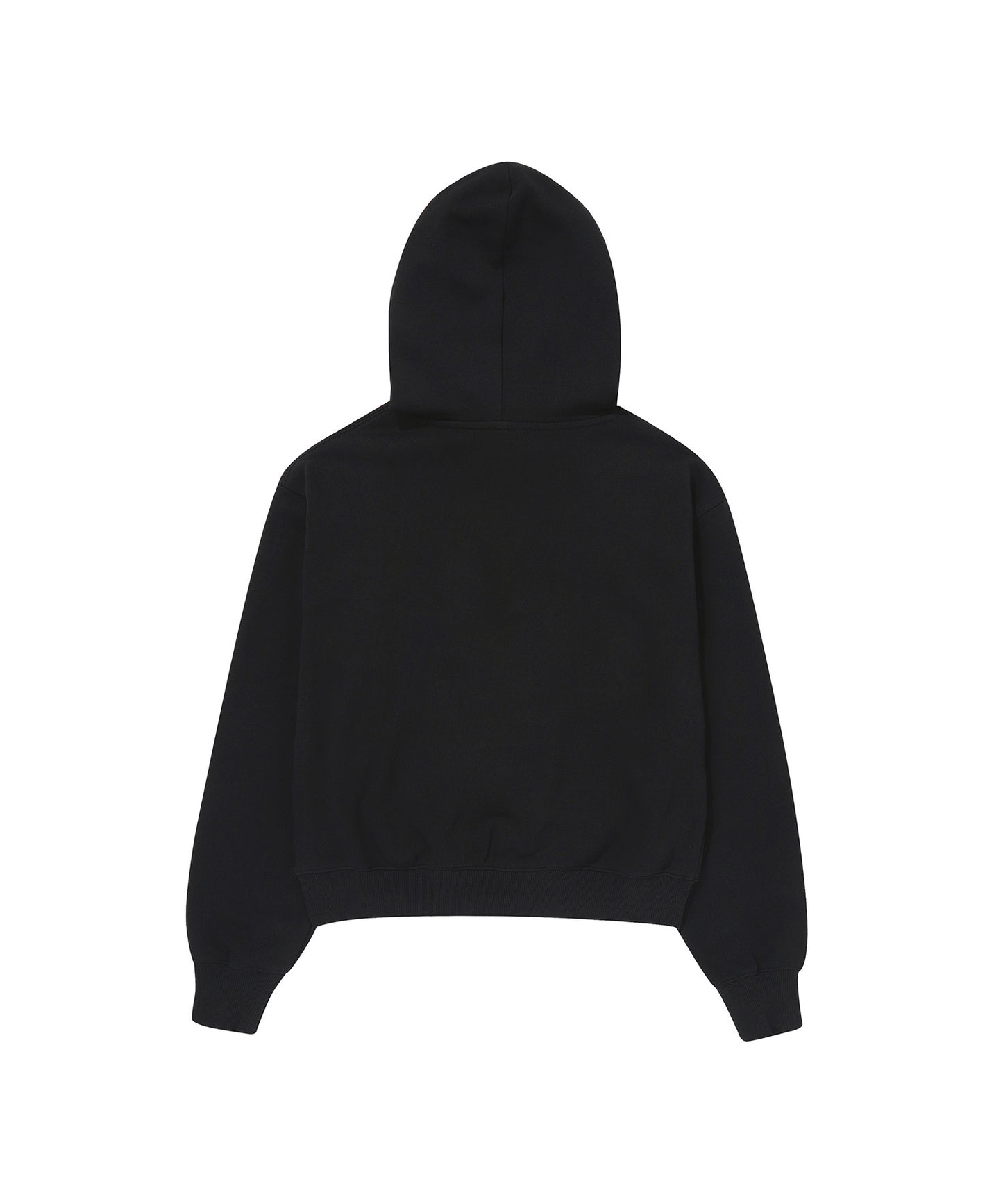W Vintage Logo Crop Hoodie
