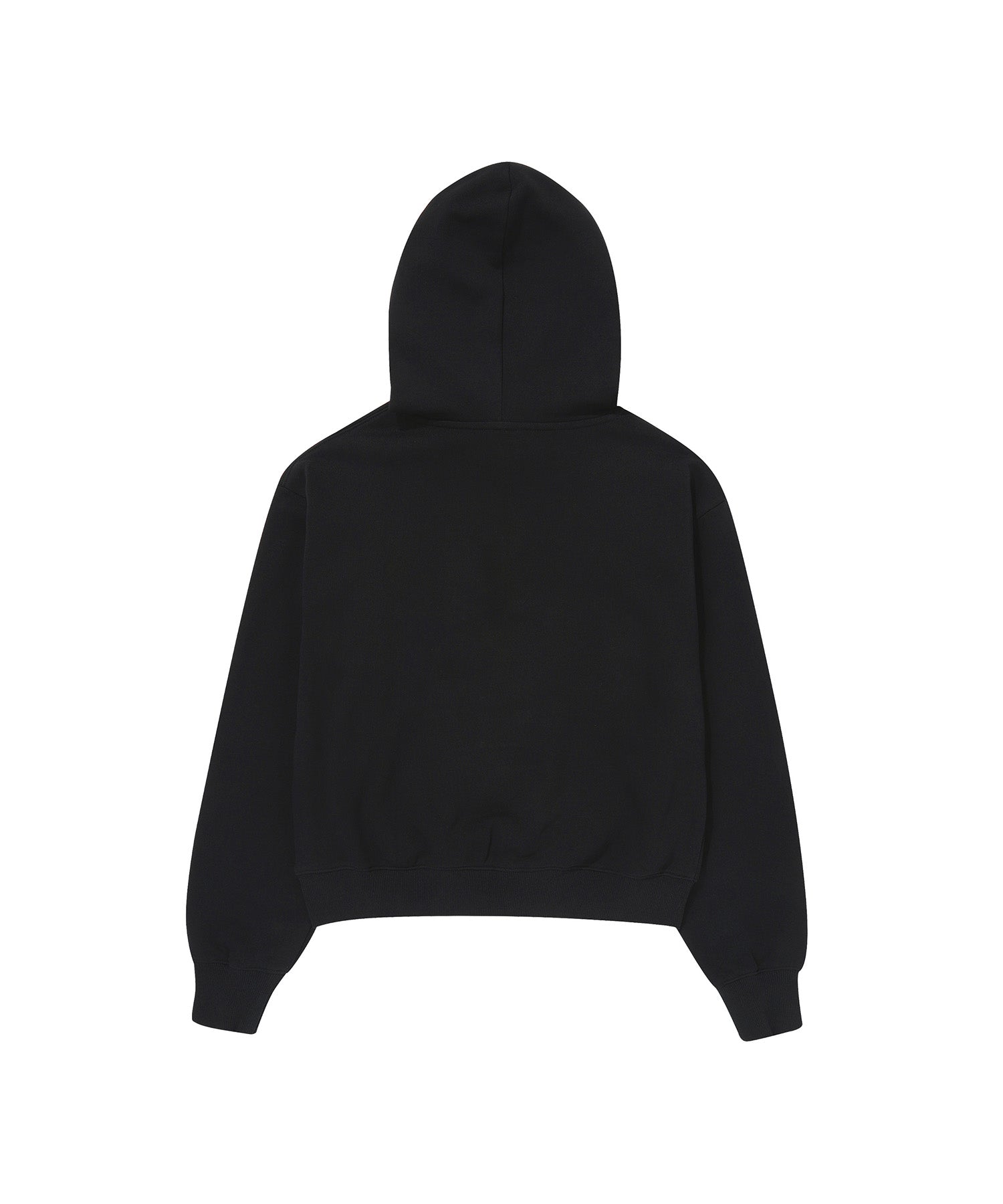 W Vintage Logo Crop Hoodie