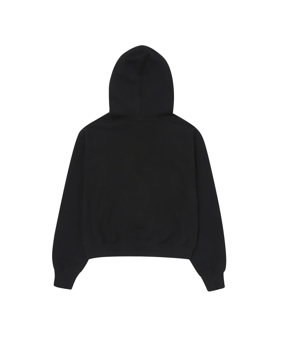 W Vintage Logo Crop Hoodie