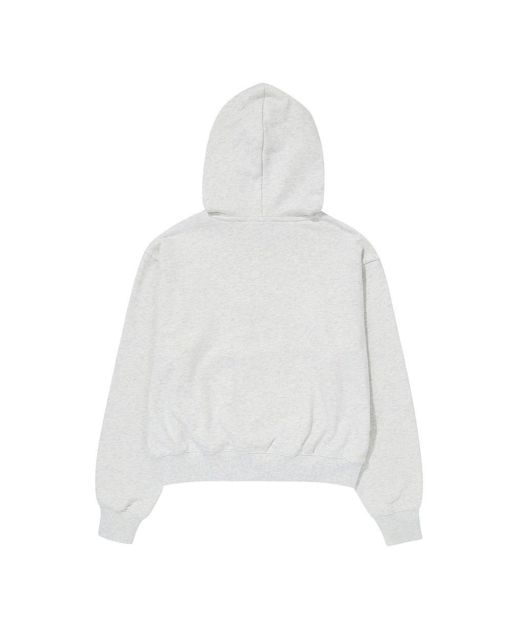 W Vintage Logo Crop Hoodie