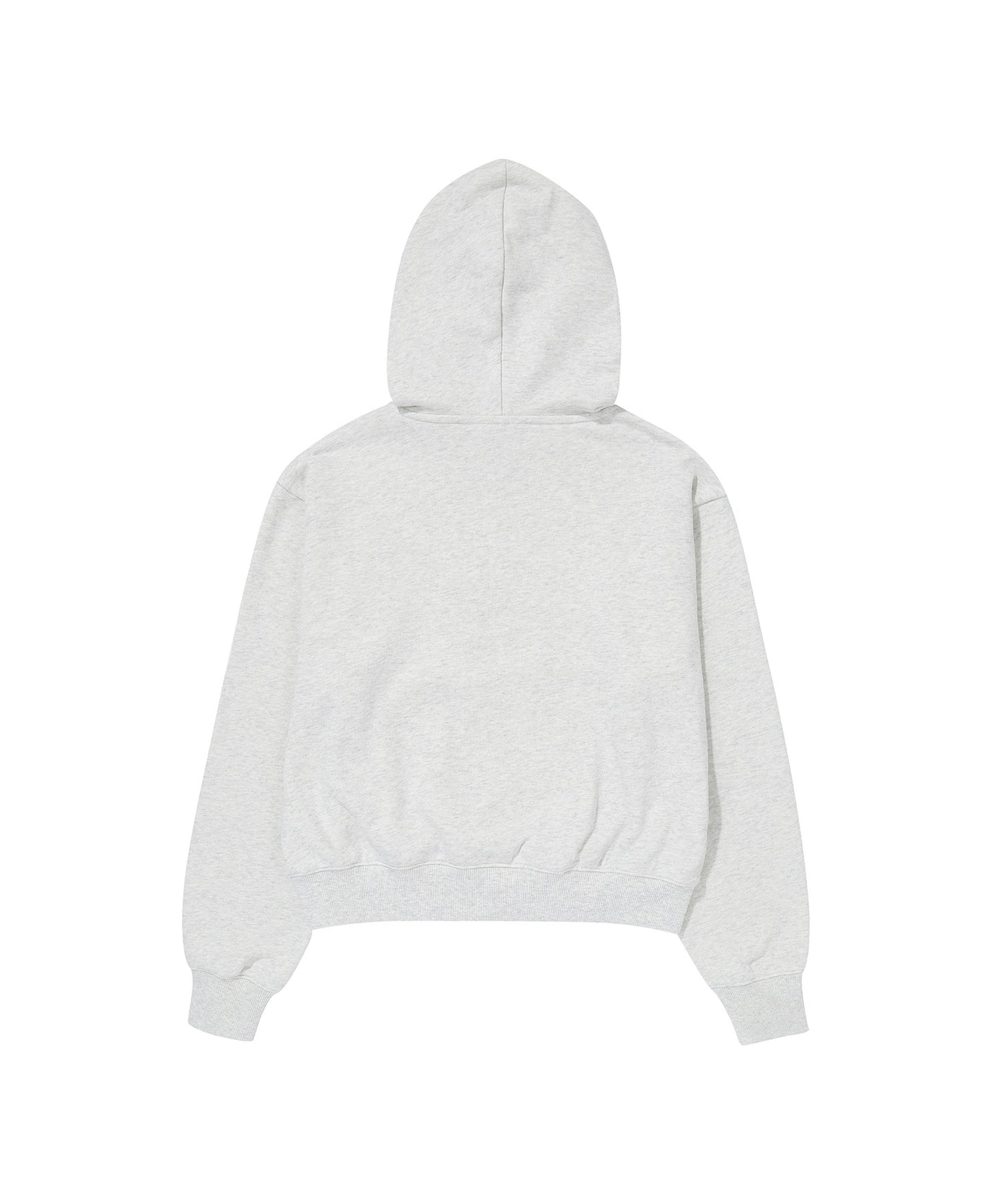 W Vintage Logo Crop Hoodie