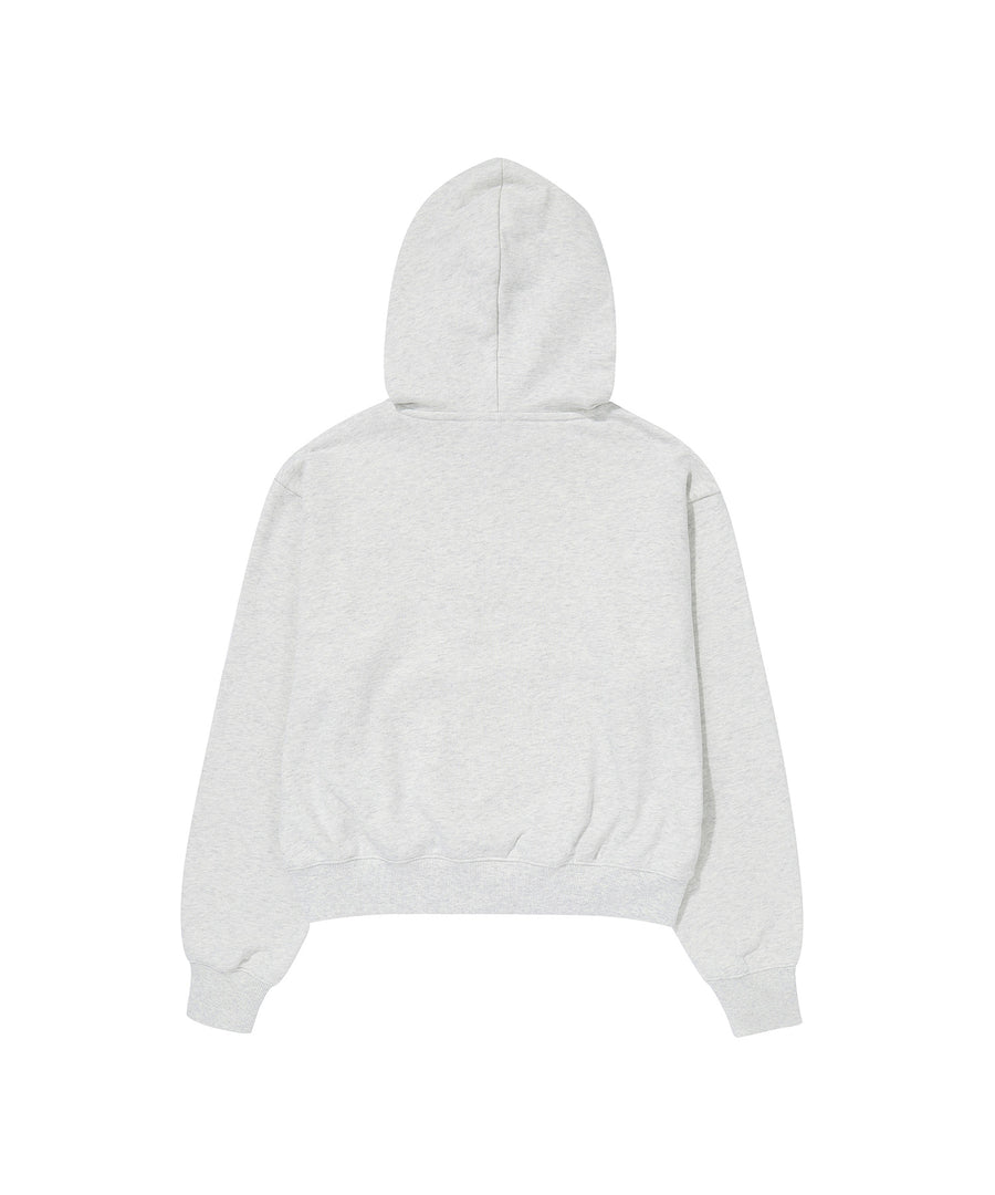 W Vintage Logo Crop Hoodie