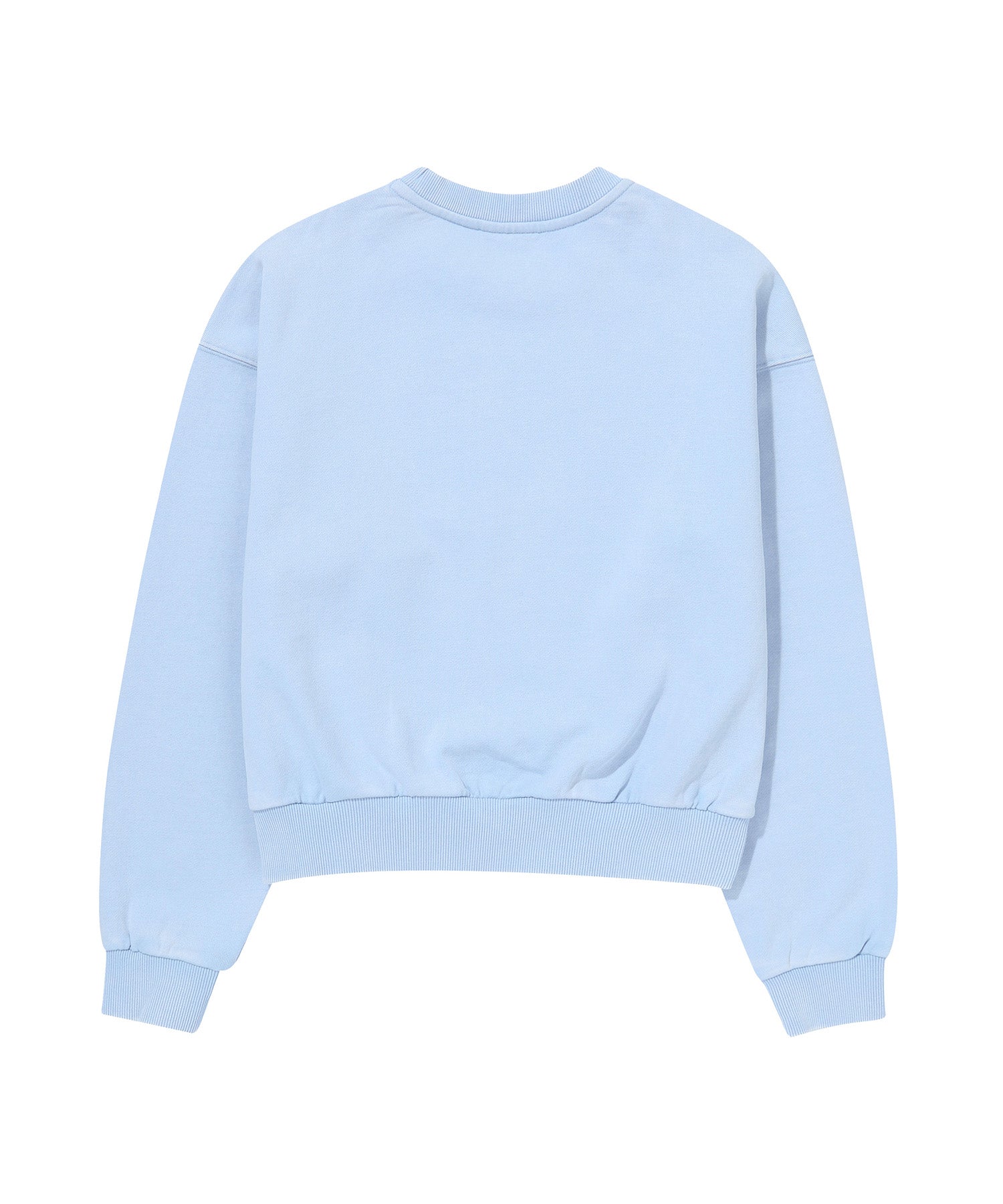 W Vintage Washed Crop Sweatshirt - L/Blue