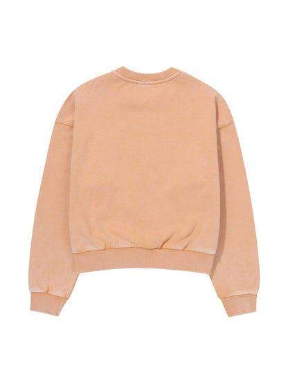 W Vintage Washed Crop Sweatshi