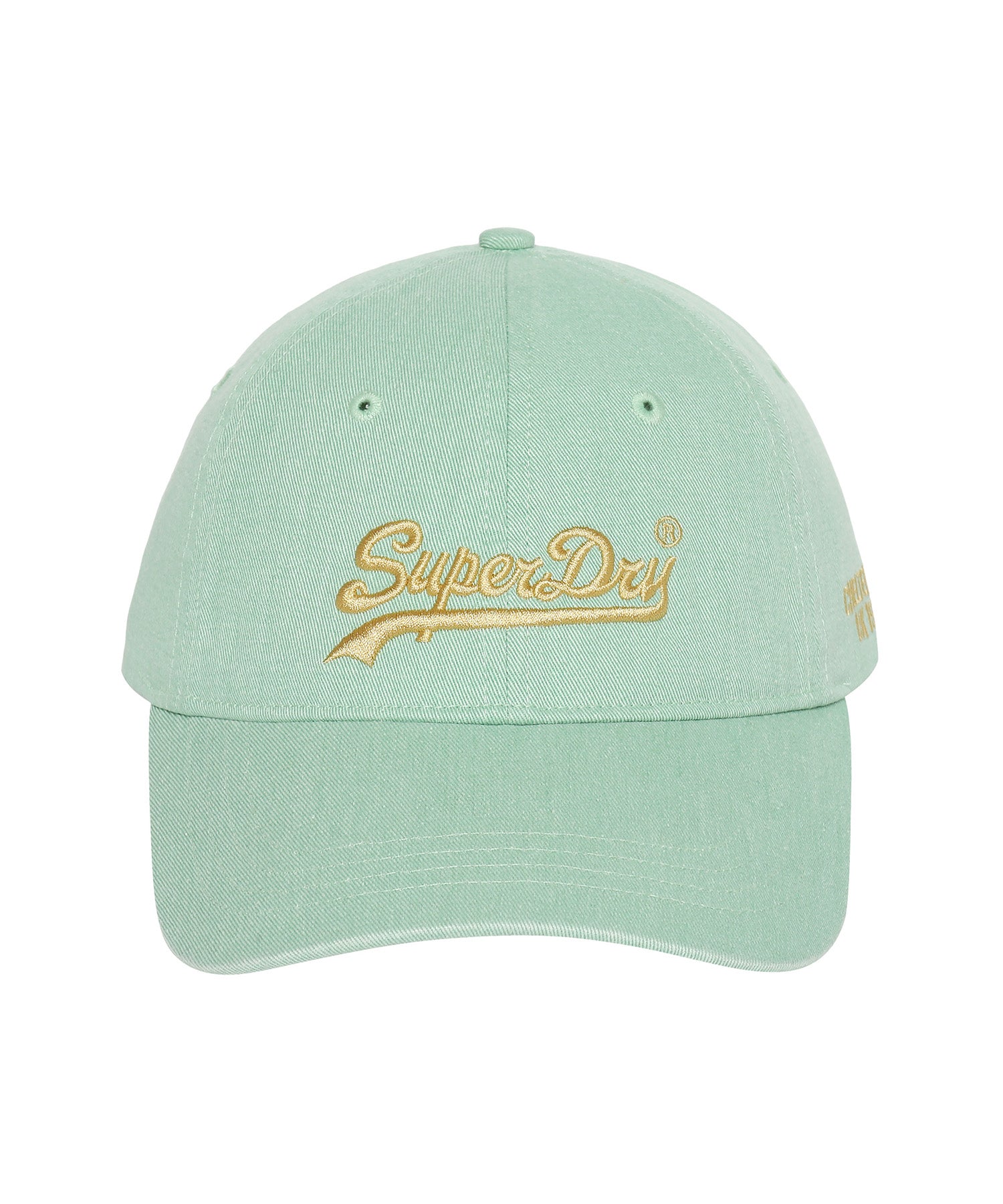 Pigment Vintage Logo Ball Cap - L/Green