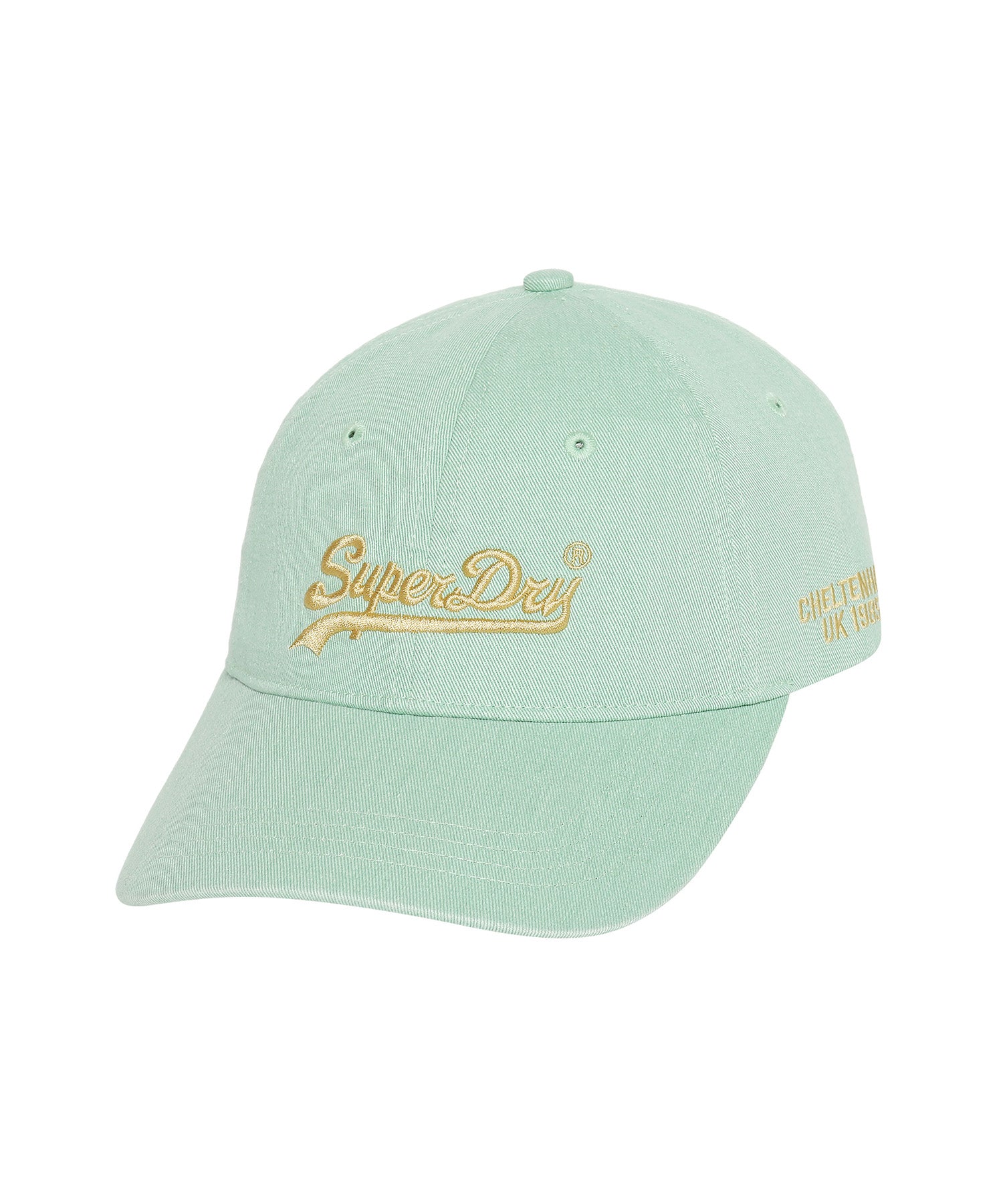 Pigment Vintage Logo Ball Cap - L/Green