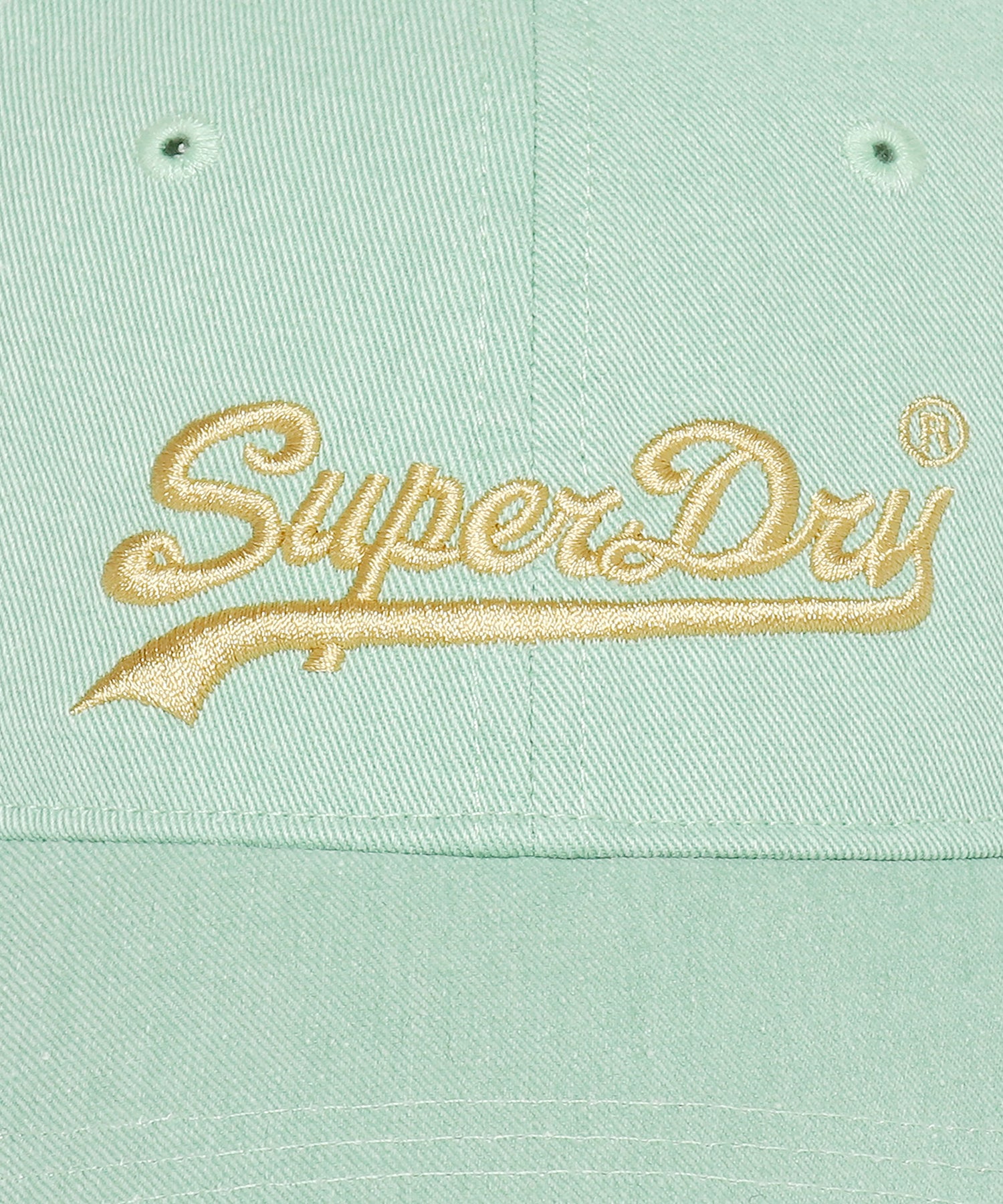 Pigment Vintage Logo Ball Cap - L/Green