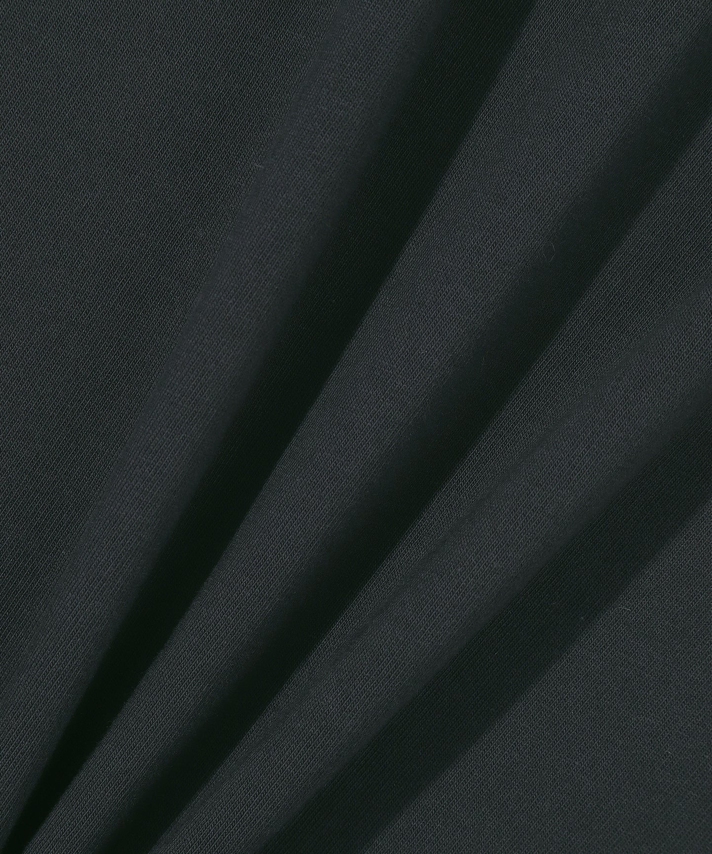 Bay Leaf Logo T-Shirt