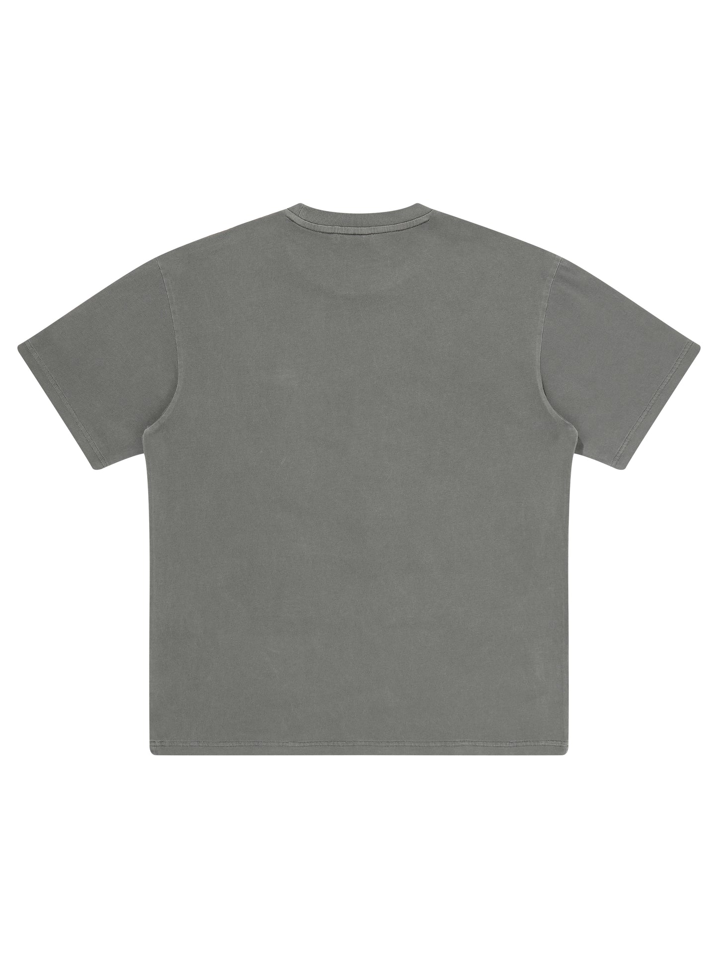 Small Logo Washed T-Shirt